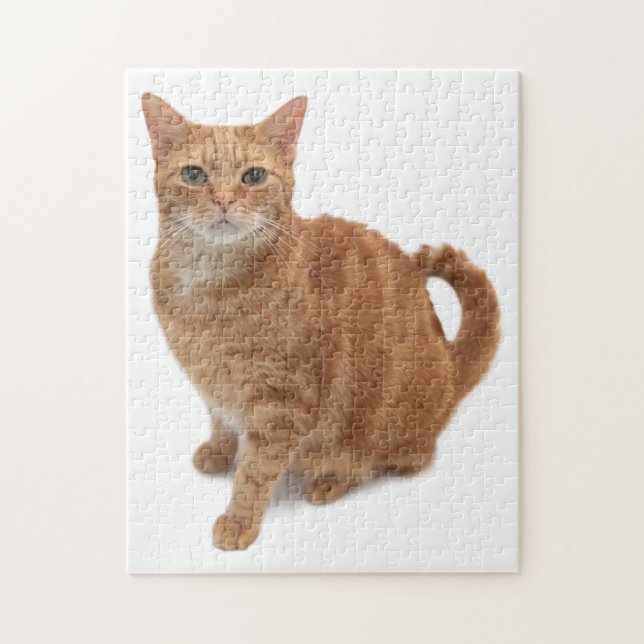 Orange Cat Ständiga Pussel (Vertikal)