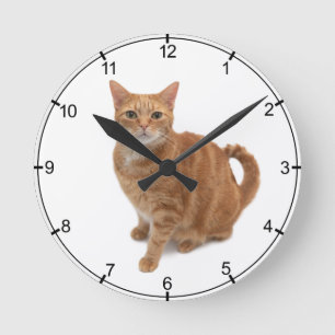 Orange Cat Ständiga Rund Klocka