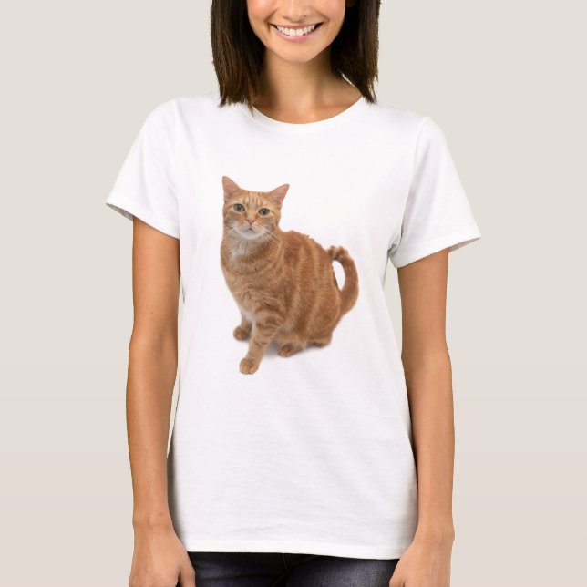 Orange Cat Ständiga T Shirt (Framsida)