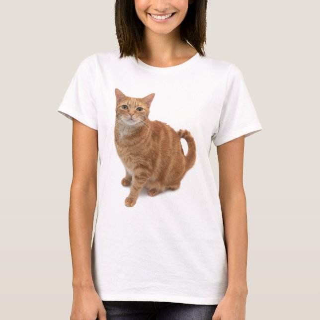 Orange Cat Ständiga T Shirt (Framsida)
