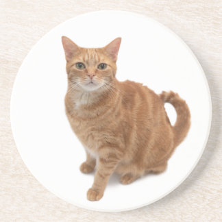 Orange Cat Ständiga Underlägg