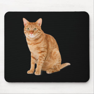 Orange Cat Tab Funny Cat Parody Cat Lover Gift Kit Musmatta