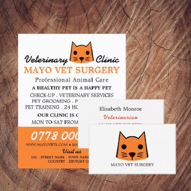 Orange Cat, Veterinär, Veterinärtjänst Reklamblad (Skapare uppladdad)