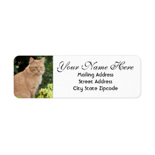 Orange Cat with Flowers Returadress Etikett