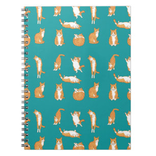 Orange Cats Funny Anteckningsbok