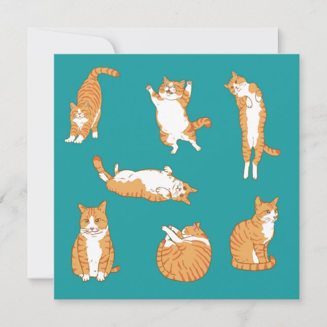 Orange Cats Funny Birthday Kort (Framsida)