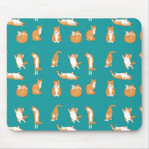 Orange Cats Funny Musmatta
