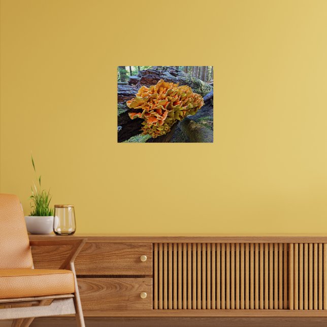 Orange Chicken vid Skogen Mushroom Poster (Vardagsrum 2)