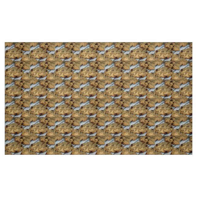 Orange Chocolate Chip Cookies Tyg (Fat Quarter)