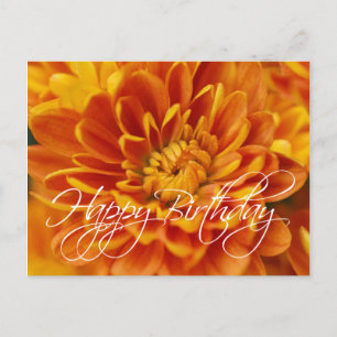 Orange Chrysanthemum Grattis på födelsedagen Vykort