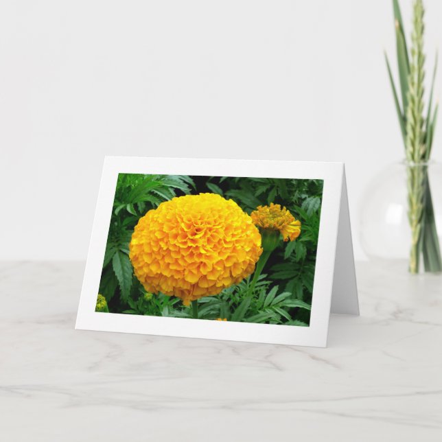 Orange Chrysanthemum Kort (Framsida)