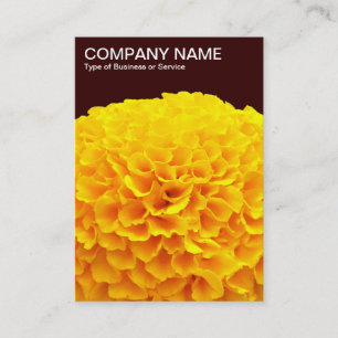 Orange Chrysanthemum - Mörk Brown Visitkort
