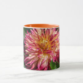 Orange Chrysanthemum Photography, Canadian Beauty Mugg