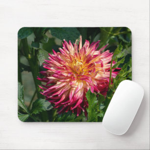Orange Chrysanthemum Photography, Canadian Flower Musmatta