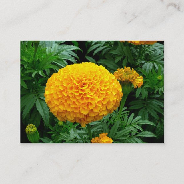 Orange Chrysanthemum Visitkort (Framsida)