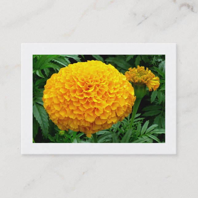 Orange Chrysanthemum Visitkort (Framsida)