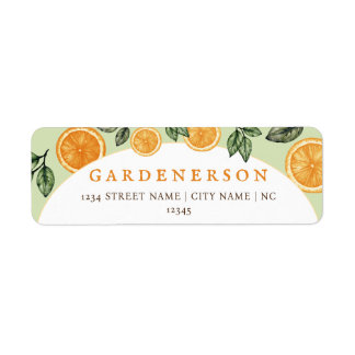 Orange Citrus Fruit Returadress Etikett