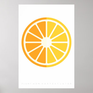 Orange Citrus Retro Fruit Poster 60:s 70:e citat