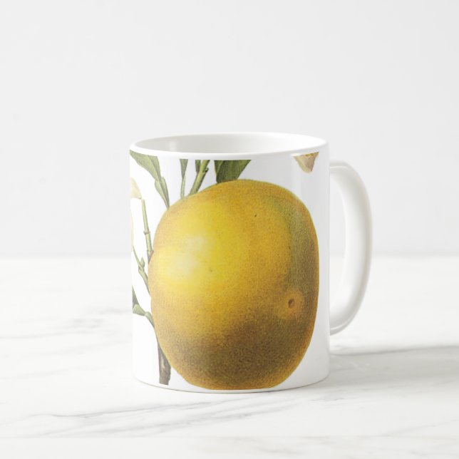 orange (Citrus sp.) från Redouté Coffee Mugg (Framsida höger)