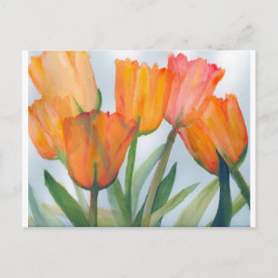 Orange Citrus Tulips Vykort