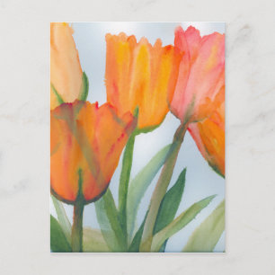 Orange Citrus Tulips Vykort