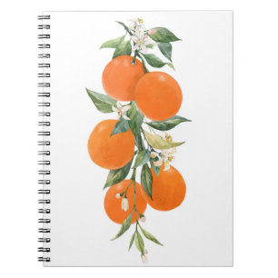 Orange citrusfrukter av vattenfärg citrusfrukter c anteckningsbok