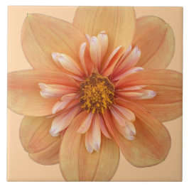 Orange Collarette Dahlia Blommigt Kakelplatta