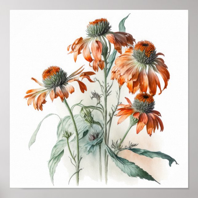 Orange Coneflowers Art Print Poster (Framsidan)