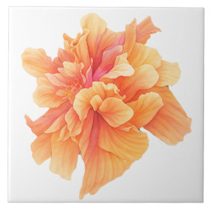 Orange Coral Blommigt Bloom botaniskt accent Mönst Kakelplatta