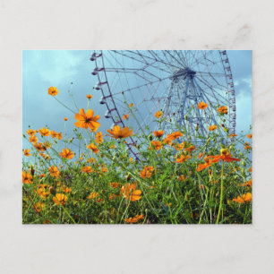 Orange Cosmos Blommor & Pariserhjul: Tokyo vykort