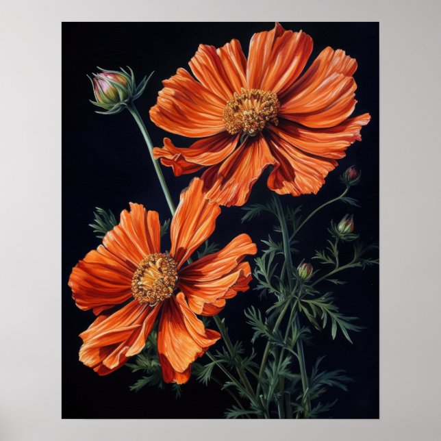 Orange Cosmos Flowers Art Print Poster (Framsidan)