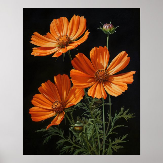 Orange Cosmos Flowers Art Print Poster (Framsidan)