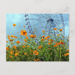 Orange Cosmos Flowers & Ferris Wheel: Tokyo Postca Vykort