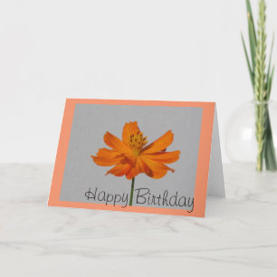 Orange Cosmos Grattis på födelsedagen Greeting Car Kort