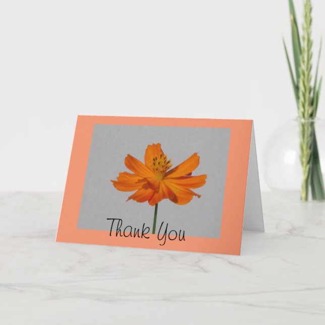 Orange Cosmos Tack Greeting Card (Framsida)
