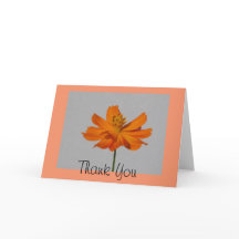 Orange Cosmos Tack Greeting Card