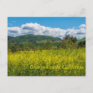 Orange County California Postcard Vykort