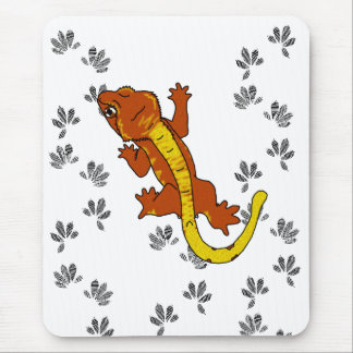 Orange Crestie fotspår (mousepad) Musmatta
