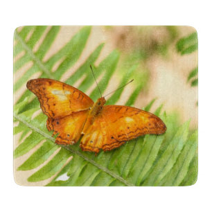 Orange Cruiser Butterfly