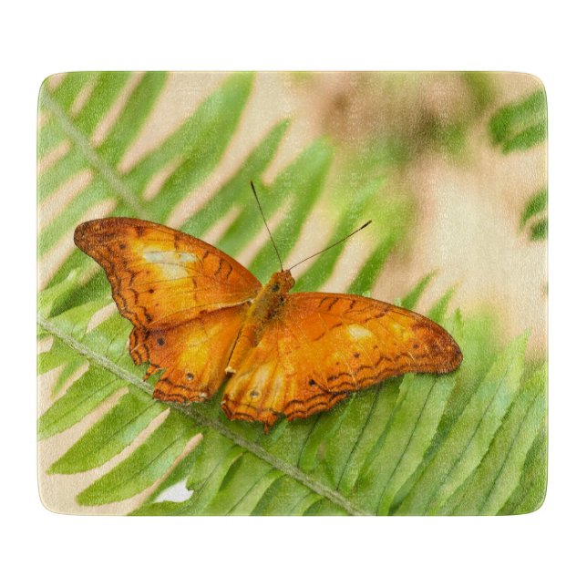 Orange Cruiser Butterfly (Framsidan)