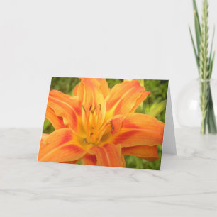 Orange Dag Lily för att visa ditt världskort Tack Kort