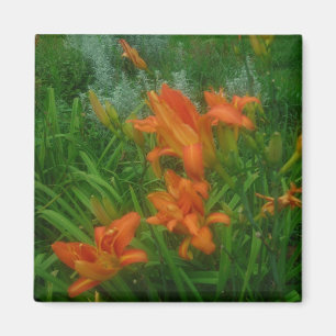 Orange dag magnet