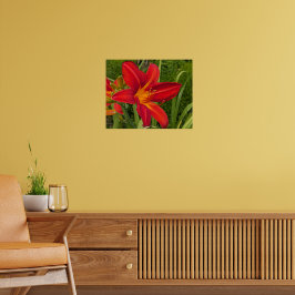Orange Daglilja Blomma Blomster Poster