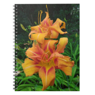 Orange Daglilje Blommor Anteckningsbok