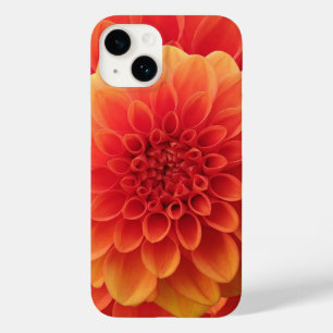 Orange Dahlia