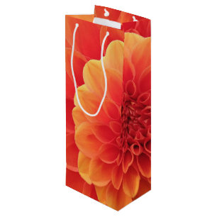 Orange Dahlia