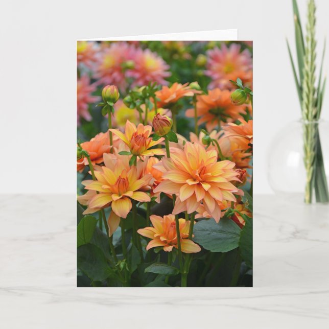 Orange Dahlia-blomsterkort Kort (Framsida)