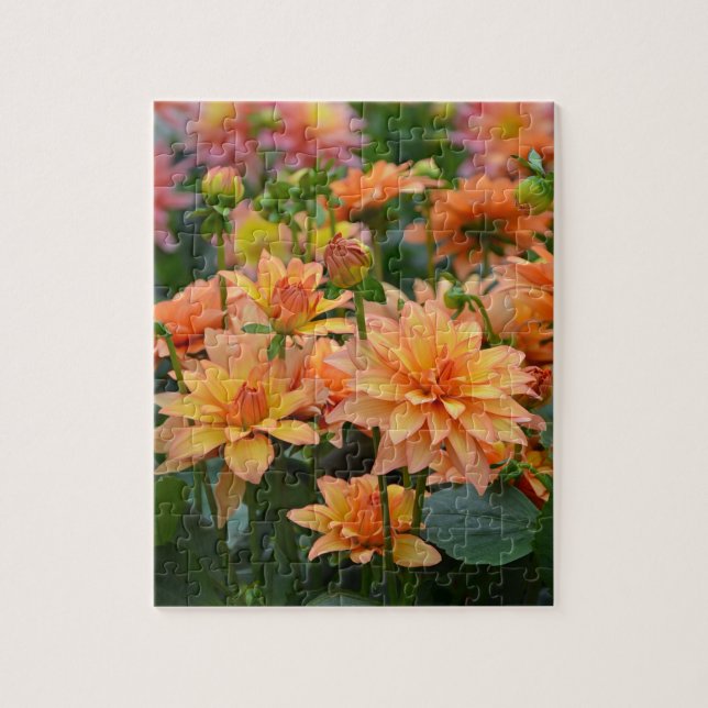 Orange Dahlia blomsterträdgård Pussel (Vertikal)