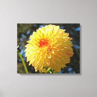 Orange Dahlia Gula Blommor Panel Canvas konst