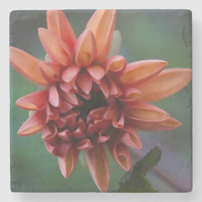 Orange Dahlia II Stenunderlägg (Framsidan)